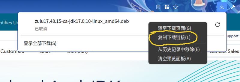 文件:MC开服-提示和技巧-第三方JDK-获取下载链接.png